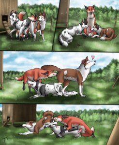 Rating: Explicit Score: 0 Tags: anatomically_correct animal_genitalia animal_vulva blush border_collie canid canine canine_genitalia canine_vulva canis collie comic domestic_dog e621 erection female feral feral_on_feral fox genitals group group_sex herding_dog interspecies licking male male/female male_penetrating mammal multi_nipple nipples oral pastoral_dog penetration penile penis penis_lick sex sheepdog sideways_oral tailshigh threesome tongue tongue_out trio vaginal vaginal_penetration vulva User: bunchy7s