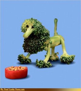 Rating: Safe Score: 0 Tags: ambiguous_gender broccoli canid canine canis continental_clip domestic_dog e621 elemental_creature feral flora_fauna food food_creature grandfathered_content living_vegetable low_res mammal my_food_looks_funny plant poodle quadruped real solo unknown_artist vegetable User: bunchy7s
