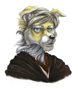 Rating: Safe Score: 0 Tags: 2012 anthro blue_eyes canid canine canis clothing cockiestspaniel domestic_dog e621 male mammal perplexity robe simple_background solo white_background User: bunchy7s