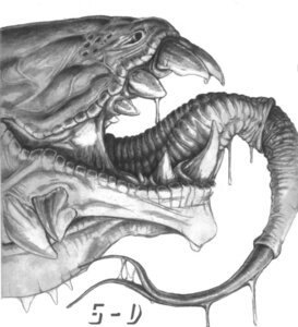 Rating: Questionable Score: 0 Tags: 5-d ambiguous_gender bodily_fluids e621 feral graphite_(artwork) greyscale monochrome monster saliva simple_background solo teeth tongue traditional_media_(artwork) what white_background User: bunchy7s Rating: Questionable Score: 0 Tags: 5-d ambiguous_gender bodily_fluids e621 feral graphite_(artwork) greyscale monochrome monster saliva simple_background solo teeth tongue traditional_media_(artwork) what white_background User: bunchy7s
