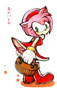 Rating: Safe Score: 0 Tags: amy_rose anthro backless_clothing backless_dress clothed clothing dress e621 eulipotyphlan female fur hedgehog holding_object japanese_text mammal panties pink_body pink_fur red_clothing red_dress sega simple_background solo sonic_the_hedgehog_(series) tail tail_under_skirt text translated underwear upskirt urahyu white_background white_clothing white_panties white_underwear User: bunchy7s