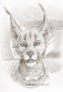 Rating: Safe Score: 0 Tags: africa ambiguous_gender anthro beaded_jewelry beaded_necklace beads biped caracal caracal_(genus) choker e621 ear_piercing ear_tuft felid feline front_view graphite_(artwork) headshot_portrait inner_ear_fluff jewelry lynx mammal necklace outside piercing portrait solo traditional_media_(artwork) tuft whiskers zhivago_(artist) User: bunchy7s