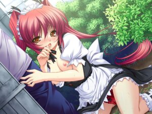 Rating: Explicit Score: 0 Tags: breasts female frills game_cg long_hair maid mercuria mercuria_-mizu_no_miyako_ni_koi_no_hanataba_wo- mitsumomo_mamu pantyshot red_hair rule34 tied_hair twintails User: bunchy7s