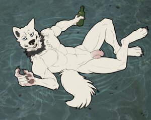 Rating: Explicit Score: 0 Tags: 2010 airu alcohol anthro balls beverage biped canid canine canis domestic_dog e621 flaccid food genitals lying male mammal nude on_back penis solo tail water User: bunchy7s Rating: Explicit Score: 0 Tags: 2010 airu alcohol anthro balls beverage biped canid canine canis domestic_dog e621 flaccid food genitals lying male mammal nude on_back penis solo tail water User: bunchy7s