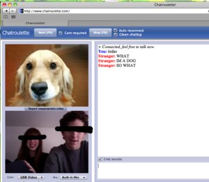 Rating: Safe Score: 0 Tags: canid canine canis censor_bar censored censored_face chatroulette domestic_dog e621 english_text female feral grandfathered_content group human male mammal prank real screencap text unknown_artist url User: bunchy7s