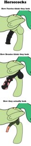 Rating: Explicit Score: 0 Tags: 2013 animal_genitalia animal_penis balls cetaceaphile digital_media_(artwork) e621 english_text equid equine equine_genitalia equine_penis erection feral fur genitals green_body green_fur green_hair hair hasbro hi_res horse long_image male mammal model_sheet my_little_pony penis pony side_view simple_background solo tall_image text the_truth white_background User: bunchy7s