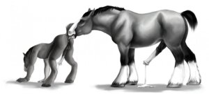 Rating: Explicit Score: 0 Tags: all_fours anal anal_orgasm animal_genitalia animal_penis anthro anthro_on_feral anus backsack balls bestiality bodily_fluids brutus_(valmir) butt cum cum_on_ground cum_while_rimmed cum_while_rimming cumshot dominant draft_horse duo e621 ejaculation equid equine equine_genitalia equine_penis erection eriatarka feral feral_rimming_anthro from_behind_position genital_fluids genitals greyscale hands-free hooves horse intraspecies intraspecies_bestiality larger_male licking looking_pleasured male male/male male_rimming_male mammal mane master monochrome nude oral orgasm penis precum quadruped rimming saliva sex side_view simple_background size_difference smaller_male submissive tail tongue tongue_out valmir white_background User: bunchy7s