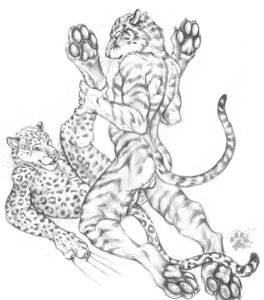 Rating: Explicit Score: 0 Tags: 2008 anthro anvil_position balls blotch clawing duo e621 eye_contact feet felid from_front_position genitals grabbing_both_legs greyscale hi_res hindpaw legs_up leopard leopard_spots looking_at_another lying male male/male mammal monochrome nude on_back pantherine pawpads paws scratches_volume_2 sex spots stripes tail tiger traditional_media_(artwork) whiskers User: bunchy7s
