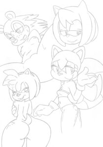 Rating: Questionable Score: 0 Tags: amy_rose animal_crossing anthro big-e6 breasts butt clothed clothing crossover e621 eulipotyphlan female hedgehog hi_res looking_at_viewer looking_back mammal monochrome multiple_images nintendo nude porcupine presenting rodent sable_able sciurid sega solo sonic_the_hedgehog sonic_the_hedgehog_(series) tree_squirrel User: bunchy7s