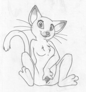 Rating: Explicit Score: 0 Tags: animal_genitalia anthro blinx_the_time_sweeper catherine_(blinx) female furry rule34 tagme User: bunchy7s