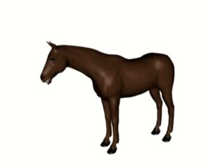 Rating: Safe Score: 0 Tags: 3d_(artwork) 3d_animation ambiguous_gender animated animated_gif black_eyes brown_body chriddof digital_media_(artwork) e621 equid equine feral hooves horse low_res mammal open_mouth quadruped short_playtime simple_background solo standing white_background User: bunchy7s