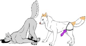 Rating: Explicit Score: 0 Tags: 2010 airisu animal_dildo animal_sex_toy ass_up barkwoof bdsm black_nose blue_eyes bondage bound canid canine canine_dildo canis claws colored dildo domestic_dog dominant dominant_female duo e621 eska female feral fur green_eyes grey_body grey_fur imminent_pegging imminent_sex inner_ear_fluff knot knotted_dildo knotted_strapon male male/female mammal muzzle_(object) nude pink_nose raised_tail restraints sex_toy shocked side_view simple_background spreader_bar strapon submissive submissive_male tail tan_body tan_fur tuft white_background white_body white_fur wide_eyed wolf User: bunchy7s