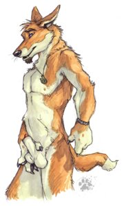 Rating: Explicit Score: 0 Tags: 2008 animal_genitalia anthro balls blotch canid canine canis diego_(blotch) dingo e621 fondling genitals hei-matau hi_res jewelry looking_at_viewer male mammal necklace pendant penis penis_tip pinup pose scratches_volume_2 sheath solo tail the_dog's_days_of_summer traditional_media_(artwork) User: bunchy7s