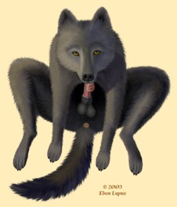 Rating: Explicit Score: 0 Tags: anatomically_correct anatomically_correct_genitalia anatomically_correct_penis animal_genitalia animal_penis anus auto_penis_lick autofellatio balls black_body black_fur canid canine canine_genitalia canine_penis canis e621 ebon_lupus erection feral fur genitals licking male mammal masturbation oral oral_masturbation oral_penetration penetration penile penile_masturbation penis self_lick sheath solo tail tongue tongue_out wolf yellow_eyes yellow_sclera User: bunchy7s