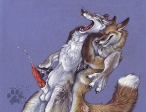 Rating: Explicit Score: 0 Tags: anal anal_sex anthro blotch broken_fox canine canine_penis colored_background cum fox fur furry furry_only gay knot male nude penetration penis rule34 sex User: bunchy7s