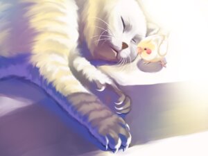 Rating: Safe Score: 0 Tags: 4:3 ambiguous_gender avian bird claws cockatiel cockatoo domestic_cat duo e621 era_(artist) eyes_closed felid feline felis feral mammal parakeet parrot realistic sleeping true_parrot whiskers User: bunchy7s