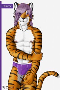 Rating: Questionable Score: 0 Tags: 2013 anthro clothed clothing drevor e621 felid hair male mammal pantherine paws simple_background solo stripes tail tiger topless underwear white_background zwolf User: bunchy7s