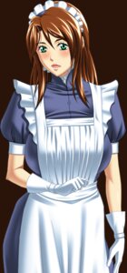 Rating: Explicit Score: 0 Tags: 1girls black_package_try blush brown_hair female green_eyes kishuu_no_yakata maid maid_headdress maid_uniform mesudo_no_kan rule34 saeki_hitomi_(kishuu_no_yakata) tagme User: bunchy7s