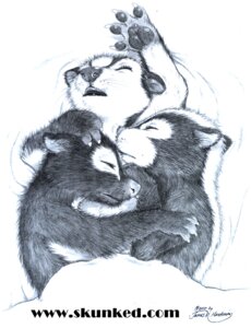 Rating: Questionable Score: 0 Tags: 2010 anthro bed cuddling e621 eyes_closed female furniture group james_m_hardiman lori_(jmh) mammal mephitid monochrome natasha_(jmh) onyx_(jmh) skunk sleeping striped_skunk text url whiskers young young_anthro User: bunchy7s