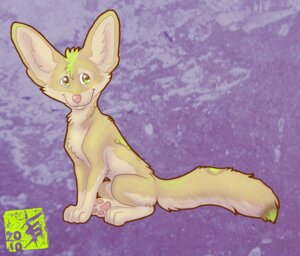 Rating: Safe Score: 0 Tags: 2010 canid canine e621 female fennec_fox feral fox hybrid kadohusky mammal solo tail true_fox User: bunchy7s