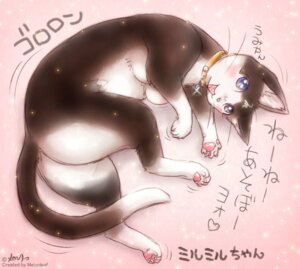 Rating: Questionable Score: 0 Tags: blue_eyes breasts busty_feral butt collar domestic_cat e621 felid feline felis female feral fur japanese_text mammal melonleaf nipples nude open_mouth pawpads paws pink_pawpads pose rolling simple_background solo tail text translated whiskers User: bunchy7s