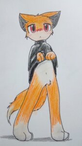 Rating: Questionable Score: 0 Tags: 3_toes anthro barefoot big_eyes biped blush bottomless canid canine clothed clothing clothing_lift dipstick_tail e621 feet fox front_view fur male mammal markings multicolored_tail orange_body orange_fur paws pubes purofu red_eyes simple_background solo standing sweater tail tail_markings toes topwear white_background white_body white_fur young young_anthro young_male User: bunchy7s