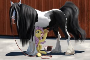 Rating: Explicit Score: 0 Tags: anatomically_correct animal_genitalia animal_penis balls blaze_(marking) blue_eyes bodily_fluids cum cum_in_mouth cum_inside cumshot duo e621 ejaculation equid equine equine_genitalia equine_penis erection facial_markings fellatio female feral feral_on_feral fluttershy_(mlp) friendship_is_magic genital_fluids genitals gypsy_vanner hair hasbro head_markings horse interspecies intraspecies lostdragon01 male male/female mammal markings medium_truck my_little_pony open_mouth oral orgasm penile penis penis_milking pink_hair pony quadruped servicing_from_below sex swallowing tail truck van vehicle white_markings User: bunchy7s