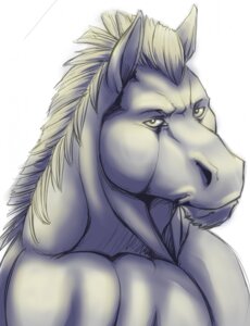 Rating: Safe Score: 0 Tags: anthro bust_portrait clothed clothing e621 equid equine hi_res horse looking_at_viewer male mammal mane muscular muscular_anthro muscular_male portrait simple_background solo stubble topless unknown_artist User: bunchy7s Rating: Safe Score: 0 Tags: anthro bust_portrait clothed clothing e621 equid equine hi_res horse looking_at_viewer male mammal mane muscular muscular_anthro muscular_male portrait simple_background solo stubble topless unknown_artist User: bunchy7s