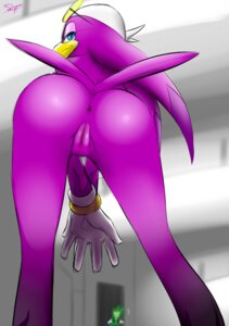 Rating: Explicit Score: 0 Tags: accipitrid accipitriform anthro anus avian beak bent_over bird blue_eyes butt clothing e621 eyewear female genitals glasses gloves handwear headgear headkerchief headwear hirundinid jet_the_hawk kerchief looking_back nude oscine passerine presenting presenting_hindquarters rear_view sega shocked slypon solo sonic_riders sonic_the_hedgehog_(series) swallow_(bird) vulva wave_the_swallow User: bunchy7s Rating: Explicit Score: 0 Tags: accipitrid accipitriform anthro anus avian beak bent_over bird blue_eyes butt clothing e621 eyewear female genitals glasses gloves handwear headgear headkerchief headwear hirundinid jet_the_hawk kerchief looking_back nude oscine passerine presenting presenting_hindquarters rear_view sega shocked slypon solo sonic_riders sonic_the_hedgehog_(series) swallow_(bird) vulva wave_the_swallow User: bunchy7s