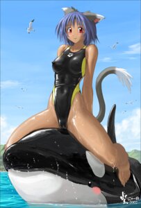 Rating: Explicit Score: 0 Tags: animal_ear blue_hair blush cameltoe cat_ears cat_tail female murasaki_nyaa nipple_bulge nipples nyanko_batake orca pussy_bulge rule34 sitting sky smile swimsuit tail thick_legs wet whale User: bunchy7s