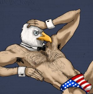 Rating: Questionable Score: 0 Tags: american_flag animal_head animal_humanoid armpit_hair avian beak body_hair bow_(feature) bow_tie chippendales clothed clothing costume e621 flag flag_clothing flag_print flag_speedo flag_swimwear flag_underwear for_a_head humanoid hybrid male mammal print_clothing print_underwear shirt_collar shirt_cuffs solo speedo swimwear topless trainedbroffesional underwear united_states_of_america User: bunchy7s