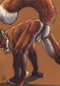 Rating: Explicit Score: 0 Tags: 2009 all_fours anthro backsack balls blotch butt canid canine claws e621 fangs fox fur genitals gloves_(marking) hi_res leg_markings looking_at_viewer male mammal markings open_mouth orange_body orange_fur presenting presenting_hindquarters raised_tail red_fox scratches_volume_3 smile socks_(marking) solo spread_legs spreading tail teeth tongue traditional_media_(artwork) true_fox whiskers white_butt User: bunchy7s Rating: Explicit Score: 0 Tags: 2009 all_fours anthro backsack balls blotch butt canid canine claws e621 fangs fox fur genitals gloves_(marking) hi_res leg_markings looking_at_viewer male mammal markings open_mouth orange_body orange_fur presenting presenting_hindquarters raised_tail red_fox scratches_volume_3 smile socks_(marking) solo spread_legs spreading tail teeth tongue traditional_media_(artwork) true_fox whiskers white_butt User: bunchy7s