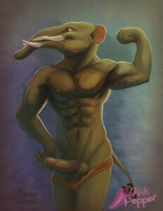 Rating: Explicit Score: 0 Tags: anthro balls clothing e621 erection flexing genitals gomphotherium male mammal mistresssparkles muscular muscular_anthro muscular_male penis pink_pepper proboscidean solo speedo swimwear tail tail_tuft thestory tuft tusks User: bunchy7s