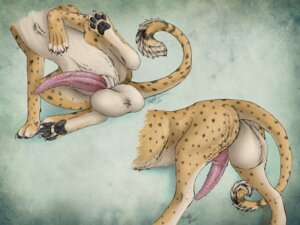 Rating: Explicit Score: 0 Tags: 2014 4:3 animal_genitalia animal_penis backsack balls big_balls big_penis butt cheetah claws e621 erection faceless_character faceless_male felid feline feline_genitalia feline_penis feral fur genitals hi_res huge_balls huge_penis hyper hyper_balls hyper_genitalia hyper_penis jasiri krimzen_redwing male mammal markings penile_spines penis solo spots vein User: bunchy7s Rating: Explicit Score: 0 Tags: 2014 4:3 animal_genitalia animal_penis backsack balls big_balls big_penis butt cheetah claws e621 erection faceless_character faceless_male felid feline feline_genitalia feline_penis feral fur genitals hi_res huge_balls huge_penis hyper hyper_balls hyper_genitalia hyper_penis jasiri krimzen_redwing male mammal markings penile_spines penis solo spots vein User: bunchy7s