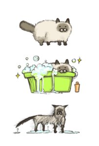 Rating: Safe Score: 0 Tags: all_fours ambiguous_gender bathtub bottle bubble container domestic_cat dripping e621 felid feline felis feral fluffy fluffy_tail fur grey_body grey_fur if_it_fits_i_sits_(meme) in_container looking_at_viewer mammal meme noja puddle simple_background solo sparkles standing tail the_truth toony water wet white_background white_body white_fur User: bunchy7s Rating: Safe Score: 0 Tags: all_fours ambiguous_gender bathtub bottle bubble container domestic_cat dripping e621 felid feline felis feral fluffy fluffy_tail fur grey_body grey_fur if_it_fits_i_sits_(meme) in_container looking_at_viewer mammal meme noja puddle simple_background solo sparkles standing tail the_truth toony water wet white_background white_body white_fur User: bunchy7s