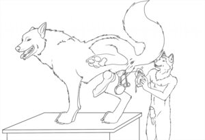 Rating: Explicit Score: 0 Tags: anatomically_correct anatomically_correct_genitalia anatomically_correct_penis animal_genitalia animal_penis anthro anthro_on_feral anus balls bestiality canid canine canine_genitalia canine_penis canis castration cheetahlover claws cock_and_ball_torture duo e621 erection eunuch exposed_testicle feral genital_mutilation genital_torture genitals gore gore_focus interspecies knot looking_back male mammal monochrome muscular mutilation nipples open_mouth paws pecs penis raised_leg size_difference smile standing stealth surgical_operation teeth wolf wounded User: bunchy7s