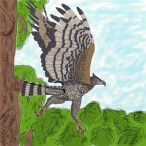 Rating: Explicit Score: 0 Tags: 1:1 accipitrid accipitriform animal_genitalia aquilinae avian beak bird cloaca crowned_eagle e621 eagle feral ferobird genitals hi_res male pinup pose round_cloaca solo wings User: bunchy7s