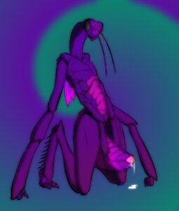 Rating: Explicit Score: 0 Tags: 4_arms antennae_(anatomy) arthropod arthropod_abdomen arthropod_abdomen_genitalia arthropod_abdomen_vulva bodily_fluids cum cum_drip cum_inside dripping dungeons_and_dragons e621 exoskeleton female genital_fluids genitals hasbro insect insect_wings mandibles mantis messy multi_arm multi_limb ocellis purple_body queblock solo thri-kreen vulva wings wizards_of_the_coast User: bunchy7s