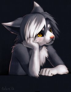 Rating: Safe Score: 0 Tags: 2012 ambiguous_gender anthro digital_media_(artwork) digital_painting_(artwork) domestic_cat e621 falvie felid feline felis fur grey_body grey_fur grey_hair hair looking_away mammal multicolored_hair painting_(artwork) solo two_tone_hair white_hair yellow_eyes User: bunchy7s Rating: Safe Score: 0 Tags: 2012 ambiguous_gender anthro digital_media_(artwork) digital_painting_(artwork) domestic_cat e621 falvie felid feline felis fur grey_body grey_fur grey_hair hair looking_away mammal multicolored_hair painting_(artwork) solo two_tone_hair white_hair yellow_eyes User: bunchy7s