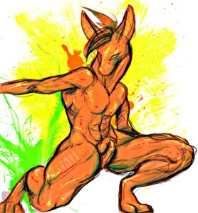 Rating: Explicit Score: 0 Tags: 3_toes animal_genitalia animal_penis anthro balls balls_above_penis crouching digitigrade e621 feet fur genitals kangaroo long_neck macropod male mammal marsupial marsupial_penis muscular muscular_anthro muscular_male nude orange_body penis penis_tip solo tactical_snake toes User: bunchy7s