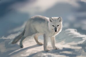 Rating: Safe Score: 0 Tags: 2013 7ofdiamonds ambiguous_gender arctic_fox blurred_background canid canine digital_media_(artwork) digital_painting_(artwork) e621 feral fox full-length_portrait mammal outside painting_(artwork) portrait pose quadruped shaded snow soft_shading solo standing tail three-quarter_view true_fox User: bunchy7s