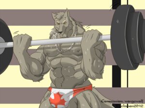 Rating: Questionable Score: 0 Tags: 2012 abs amber_eyes anthro biceps big_muscles biped black_nose bodily_fluids bone brown_body brown_fur bulge canada canid canine canis chest_tuft clothed clothing e621 exercise flexing fur grey_body grey_fur grin hair hairy holding_object jewelry male mammal muscular muscular_anthro muscular_male mythological_canine mythological_creature mythology necklace nipples pecs pose reclamon smile solo speedo standing sweat swimwear tail topless tuft weightlifting weights werecanid werecanine werecreature werewolf wolf worgewolf workout yellow_eyes User: bunchy7s