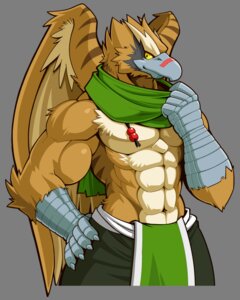 Rating: Safe Score: 0 Tags: 4:5 accipitrid accipitriform alpha_channel amber_eyes anthro avian beak bird e621 feathered_wings feathers male momochi_kage_tora muscular muscular_anthro muscular_male scarf simple_background solo transparent_background wings User: bunchy7s