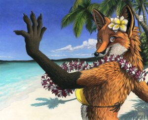 Rating: Safe Score: 0 Tags: 2008 accessory anthro beach bikini canid canine clothed clothing dancing detailed_background e621 female floral flower flower_accessory flower_garland flower_hair_accessory flower_on_head fox garland hair_accessory island kacey lei mammal outside palm_tree plant sand sea seaside skimpy sky smile solo summer swimwear tree two-piece_swimsuit water User: bunchy7s