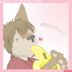 Rating: Safe Score: 0 Tags: 1:1 anthro ayato banana domestic_cat e621 felid feline felis food food_fetish fruit heart_symbol male mammal oral oral_penetration penetration plant simple_background solo suggestive suggestive_food User: bunchy7s