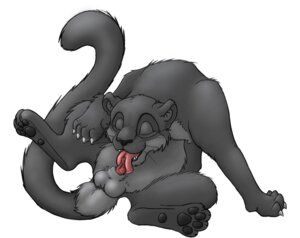 Rating: Explicit Score: 0 Tags: amur_leopard anatomically_correct anatomically_correct_genitalia anatomically_correct_penis animal_genitalia animal_penis auto_penis_lick autofellatio balls e621 erection felid feline_genitalia feline_penis feral fur genitals grey_balls grey_body grey_fur grey_sheath kisu leopard licking male mammal masturbation melanistic oral oral_masturbation pantherine penile penile_masturbation penile_spines penis penis_tip pink_penis self_lick sheath simple_background solo spot_color tail tapering_penis tongue tongue_out urethra white_background User: bunchy7s