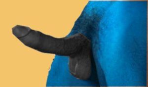 Rating: Explicit Score: 0 Tags: 1boy black_penis blue hairy istaff69 male male_only penis rule34 solo User: bunchy7s Rating: Explicit Score: 0 Tags: 1boy black_penis blue hairy istaff69 male male_only penis rule34 solo User: bunchy7s