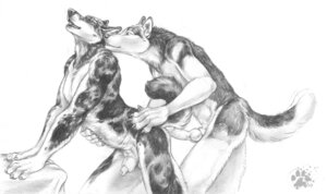 Rating: Explicit Score: 0 Tags: 2009 animal_genitalia animal_penis anthro anthro_on_anthro balls black_nose blotch canid canine canine_genitalia canine_penis canis claws domestic_dog duo e621 erection fluffy fluffy_tail furniture genitals greyscale hand_on_chest hand_on_leg hand_on_thigh husky knot looking_back male male/male mammal monochrome nordic_sled_dog nude open_mouth penis penis_tip raised_tail scratches_volume_3 sheath simple_background spitz tail traditional_media_(artwork) white_background User: bunchy7s Rating: Explicit Score: 0 Tags: 2009 animal_genitalia animal_penis anthro anthro_on_anthro balls black_nose blotch canid canine canine_genitalia canine_penis canis claws domestic_dog duo e621 erection fluffy fluffy_tail furniture genitals greyscale hand_on_chest hand_on_leg hand_on_thigh husky knot looking_back male male/male mammal monochrome nordic_sled_dog nude open_mouth penis penis_tip raised_tail scratches_volume_3 sheath simple_background spitz tail traditional_media_(artwork) white_background User: bunchy7s