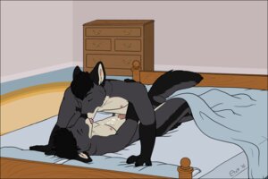Rating: Explicit Score: 0 Tags: anal anal_sex anthro bed brother brothers canine cum etch fur furry furry_only gay incest kissing male no_humans penetration penis rule34 siblings twincest twins wolf User: bunchy7s