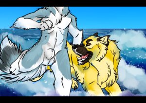 Rating: Explicit Score: 0 Tags: animal_genitalia black_bars canid canine canis detailed_background domestic_dog duo e621 faceless_character faceless_male feral fully_sheathed fur genitals husky letterbox male mammal nordic_sled_dog nude oscar_(patrikthedog) otis_(patrikthedog) outside patrikthedog running sea sheath spitz standing water yellow_body yellow_fur User: bunchy7s